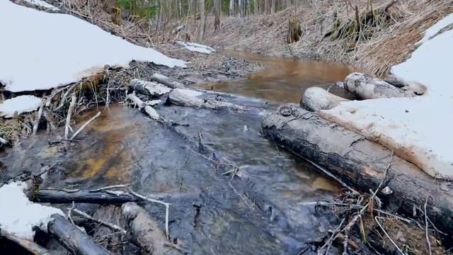 Талые воды. Релакс. Звуки природы.