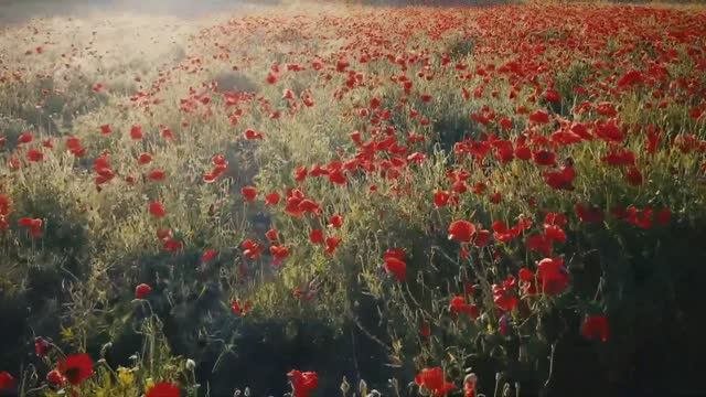 Успокаивающая, расслабляющая музыка / Soothing relaxing music