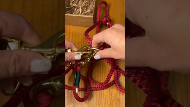 РАСПАКОВКА нового ЯРКОГО ПОВОДКА-перестёжки  #питбульпеченька #dog #питбуль #печенька #unboxing