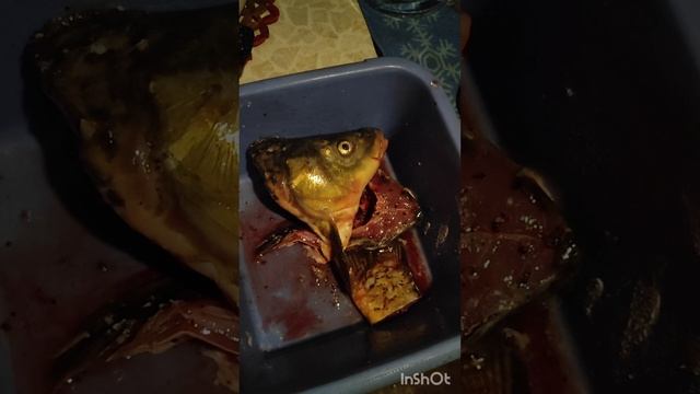 карп получился бомбический 😄