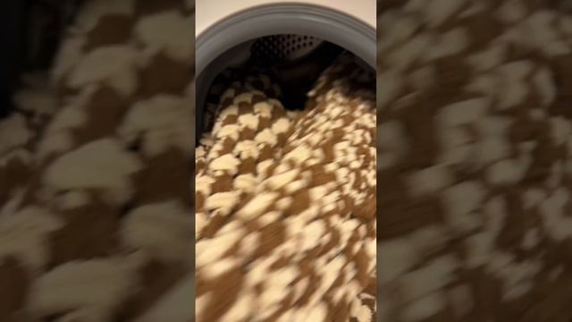 Как постирать плюшевый плед