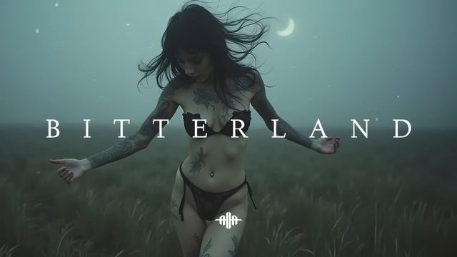 Dark Techno / EBM / Industrial Bass Mix 'BITTERLAND' [Copyright Free]