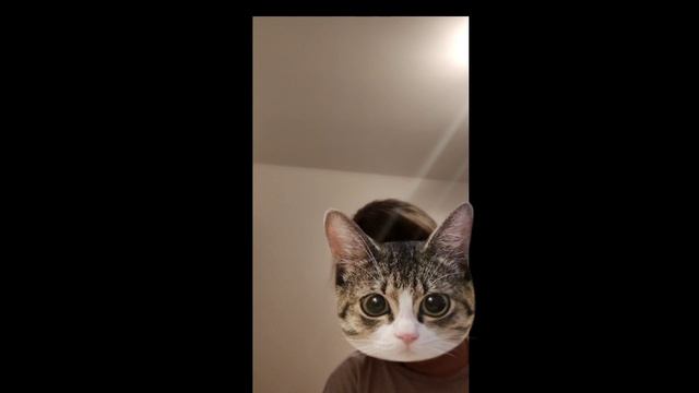 блог