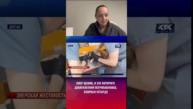 Жестокие дети.