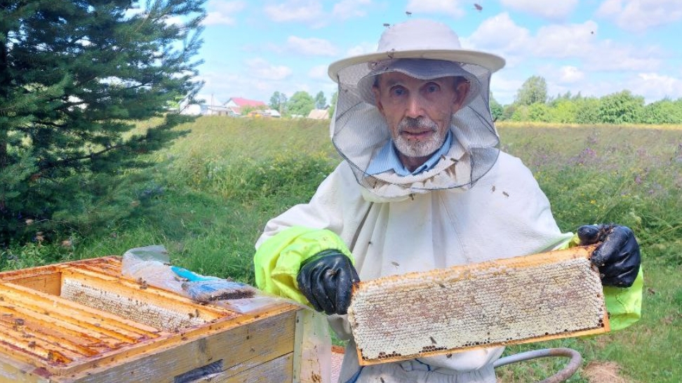 Мёд с пасеки семьи Румянцевых