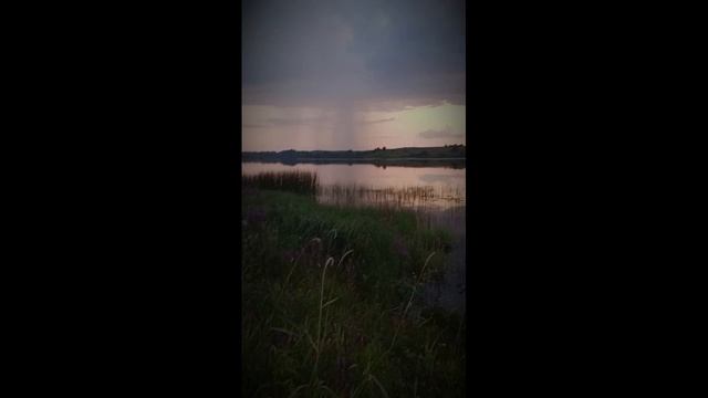 к концу года❤️🩹 2