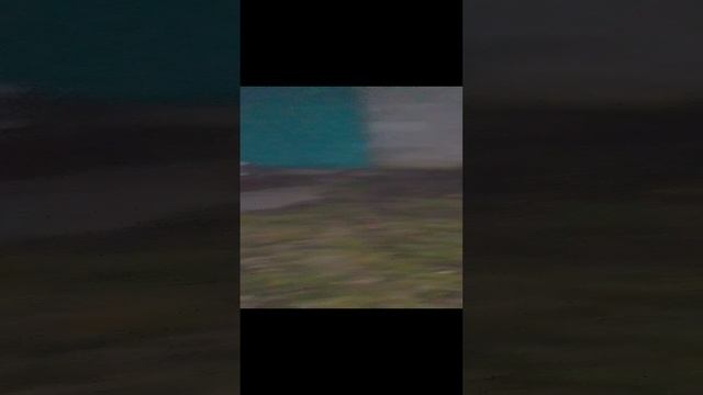 VID_20241112_171220.mp4