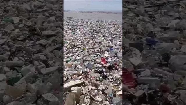cleanup.mp4