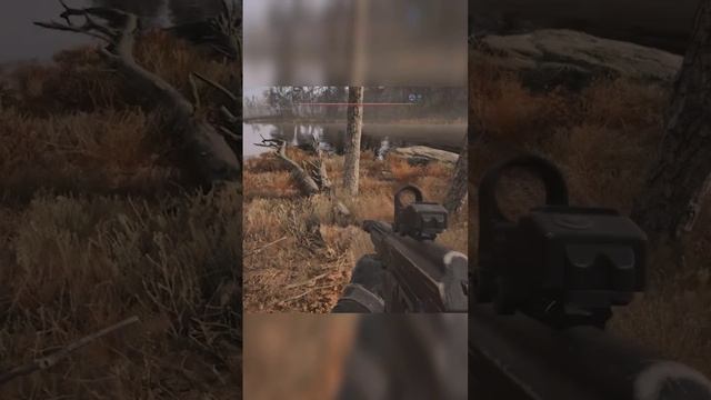Киса Киса ))
S.T.A.L.K.E.R. 2 Сердце Чернобыля
#stalker2 
#видеоигры