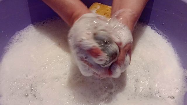 СОЛО, КУБАНЬ ,аромат хвои,от Ленусика💯🔥💋👍