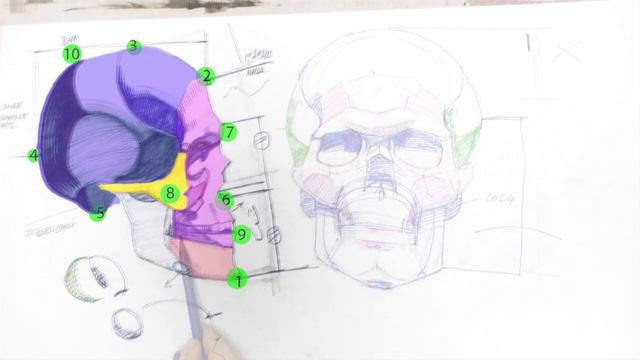 Как нарисовать череп поэтапно? Учимся как нарисовать череп человека.