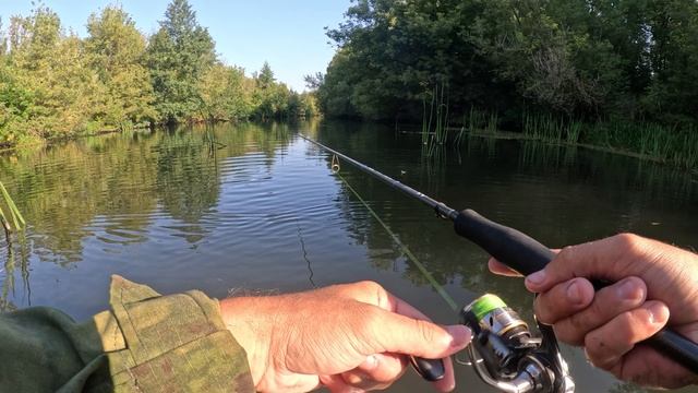 Неплохо так наловил щук и голавлей на небольшой речке! Рыбалка получилась хорошая. Спиннинг рулит.