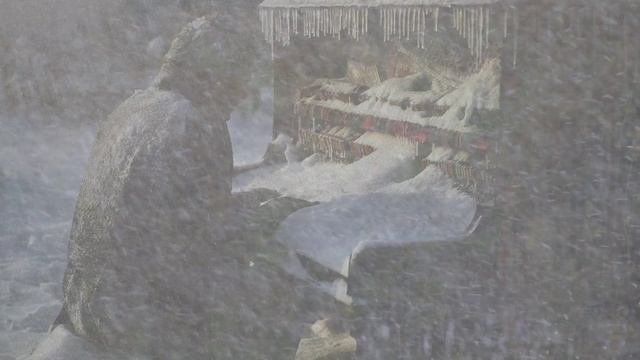 snowstorm02