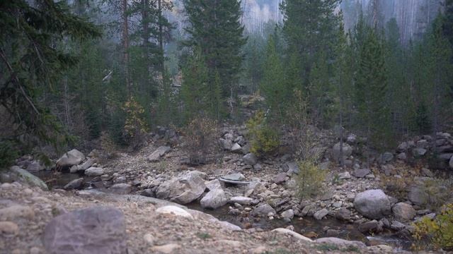 CAR CAMPING in the MOUNTAINS