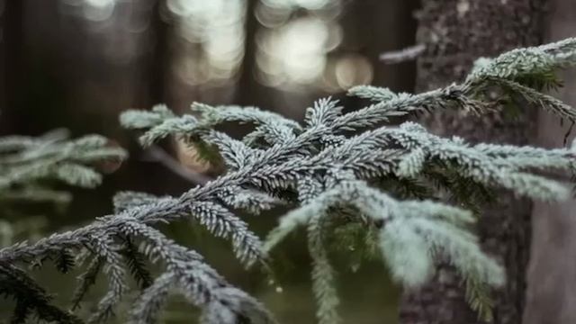 ЛЮДИ ГОВОРЯТ. РИТУАЛЫ РАБОТАЮТ. ВЕДЬМИНА ИЗБА. ️ ИНГА ХОСРОЕВА.