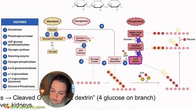 Cori Disease atf