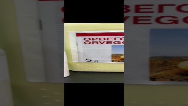 Орвего