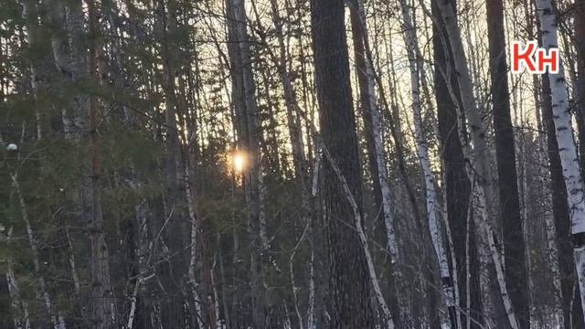 А как встречаете 🎉 новый год вы?