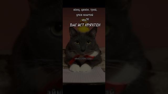 Дас ист КРЯХТЕН! 
мой ютуб https://youtube.com/@mendik908?si=FDa17RRCq5o6ewH4