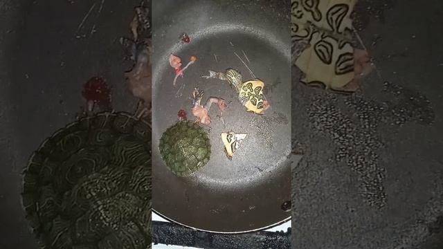 мясо черепахи рецепт
