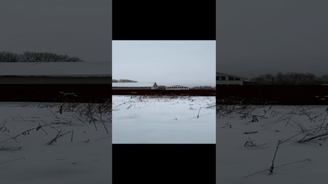 Участок 33,5 сотки в деревне Нововоскресенское, Александровский район. Газ, свет, церковь!