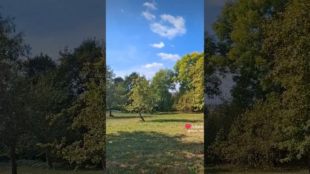 Скворечник в Б.Болдино.