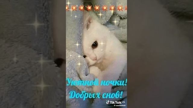 Доброй ночи!!! Сладких снов!!!⭐️🌃🌙