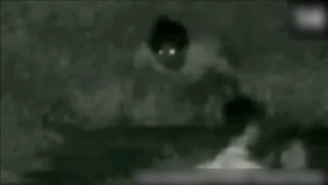 голый монстр и другая мутотень снятая на камеру