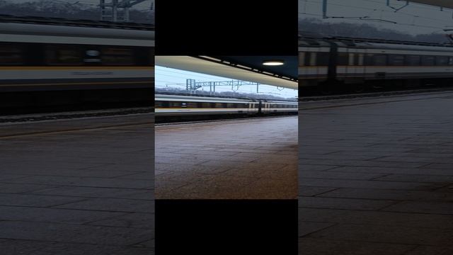 Три серии электропоездов в одном коротеньком видео: Иволга, ЭД2ДМ, Ласточка.