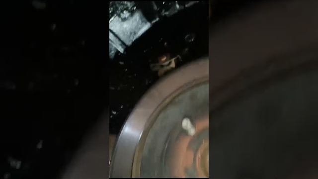 1000300095.mp4