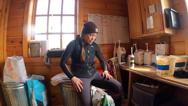 Barn Chat: HORSE NUTRITION, DIETS & FEEDING • How I Feed Horses Hay & Grain || Equestrian Vlog