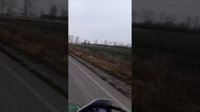 все в Невский