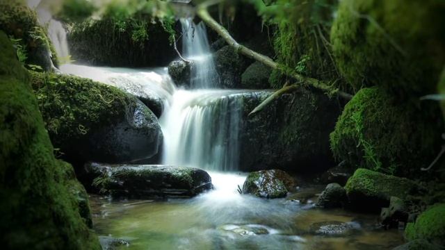 Wasserfälle | Parallax - Effekt