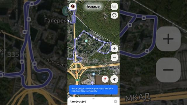selerkna Я НЕ МОГУ ВЫКИНУТЬ ТЕБЯ ИЗ ГОЛОВЫ