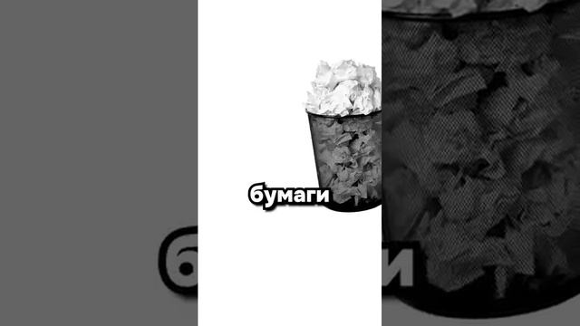 Карты, деньги, Бургер-Кинг...