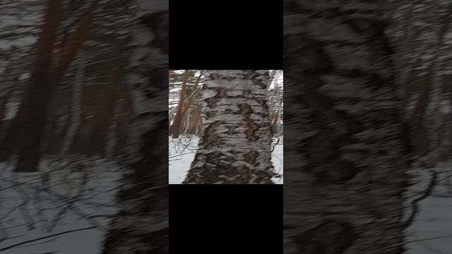 1000233030.mp4