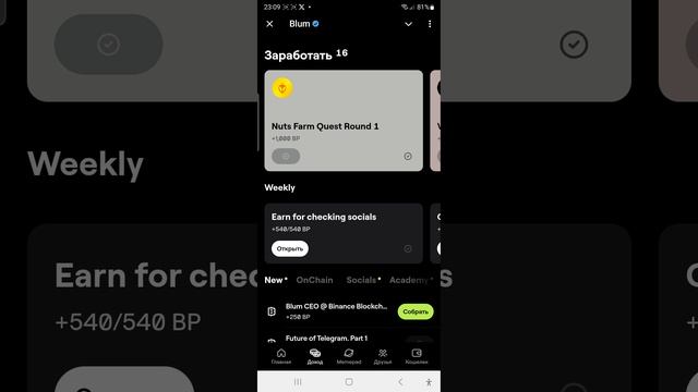 Blum Academy: Blum CEO @ Binance Blockchain