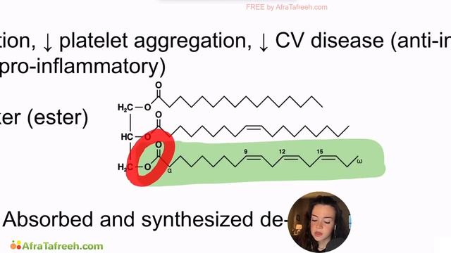 Introduction to Lipids atf