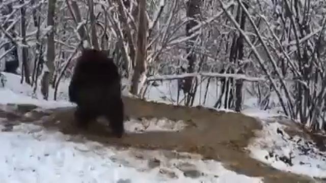 Первый плен начинается с твоего собственного разума