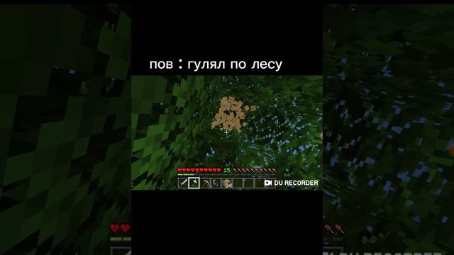 Пов Гулял по лесу #minecraft встреча