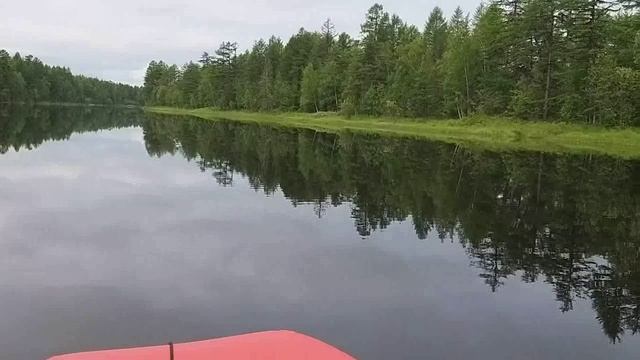 Кривая 06.07.2024г.mp4