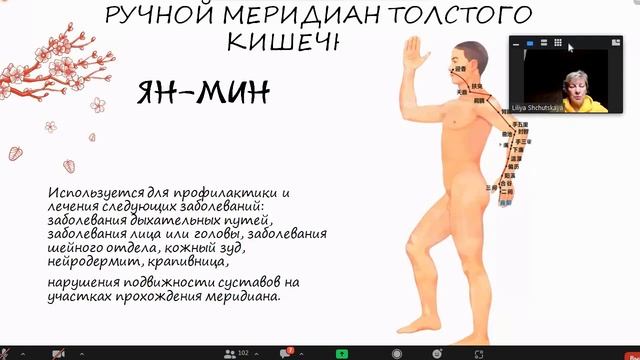 ЧТО ТАКОЕ КИТАЙСКАЯ НАРОДНАЯ МЕДИЦИНА? 

#МЕРИДИАНЫ ТЕЛА ЧЕЛОВЕКА
ЛИЯ ШУТСКАЯ