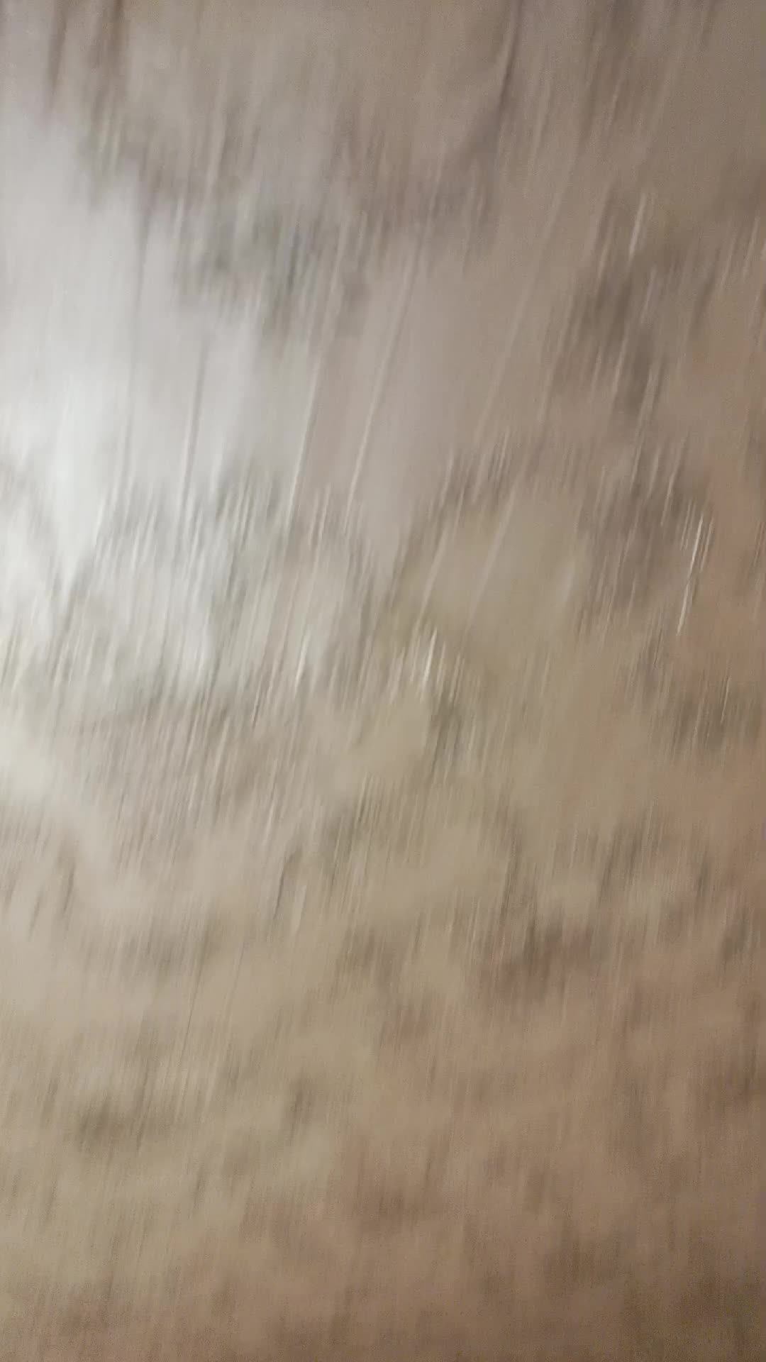 яя