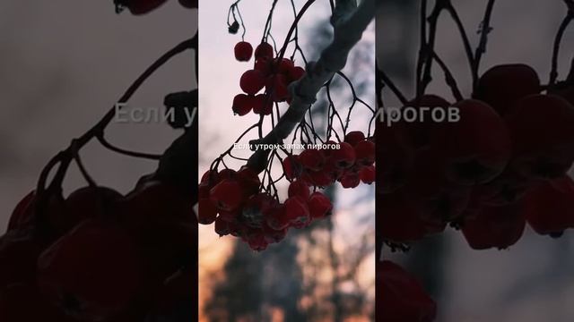 VID_20241226_223207_794.mp4
