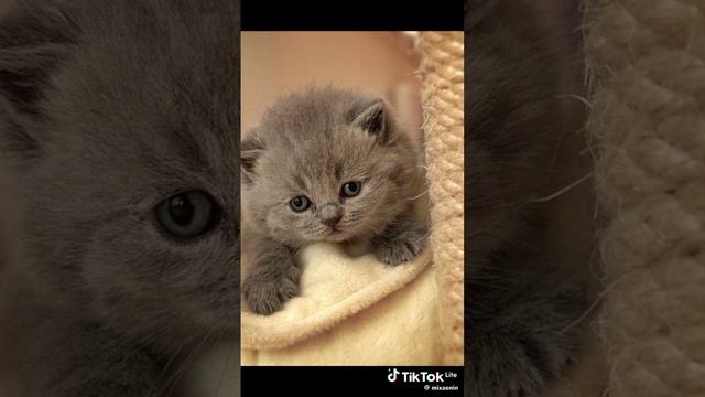 не пралистывай пожалуста😢