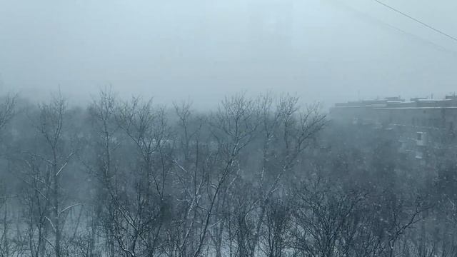 несколько "снежных" песен