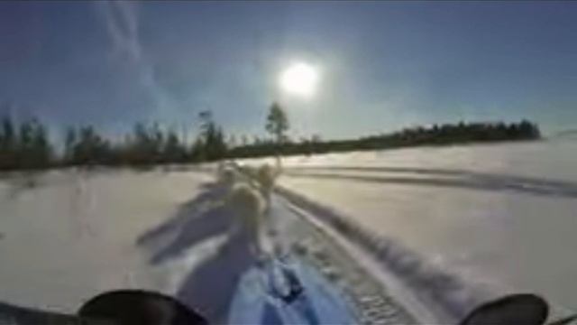 SVID_20241129_204105_1.mp4