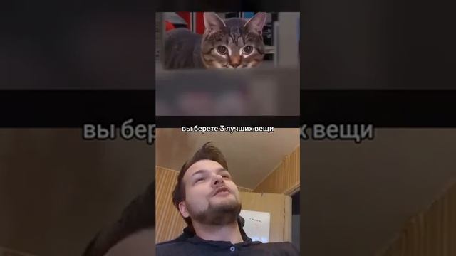 Мемы это