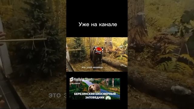 #Видео#поездка#shorts#Мин