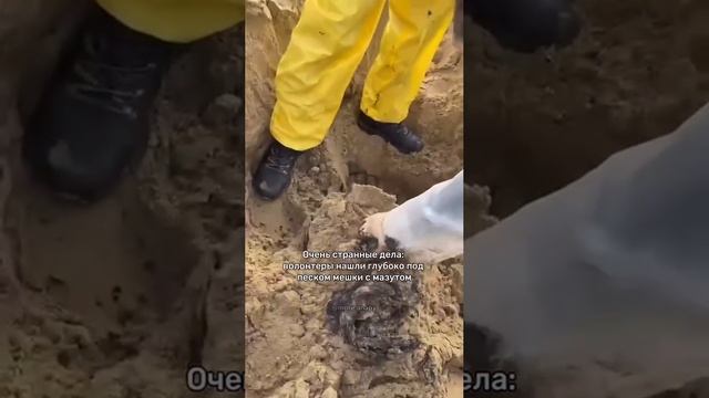 Волонтеры на видео на побережье Краснодарского края